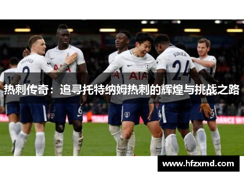 热刺传奇：追寻托特纳姆热刺的辉煌与挑战之路